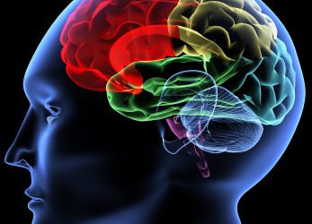 The Psychology of Color.