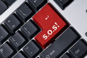 Navigating the Website Hosting Industry